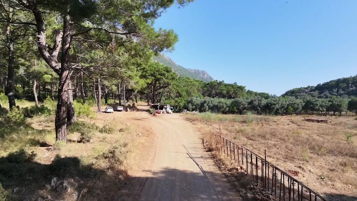 Fotoğraf 2