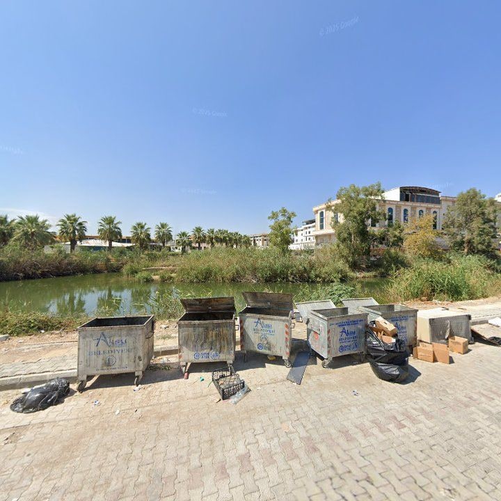 Fotoğraf 12