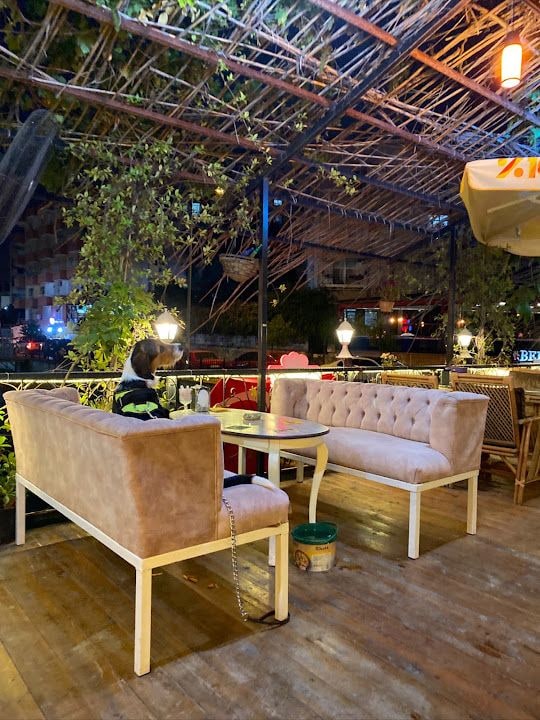Freya cafe