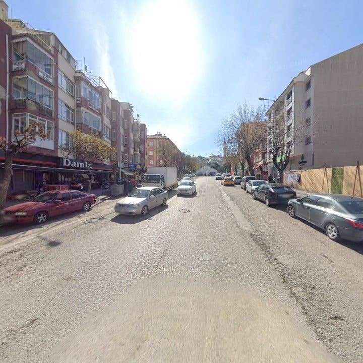 Fotoğraf 10