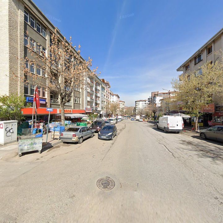 Fotoğraf 12