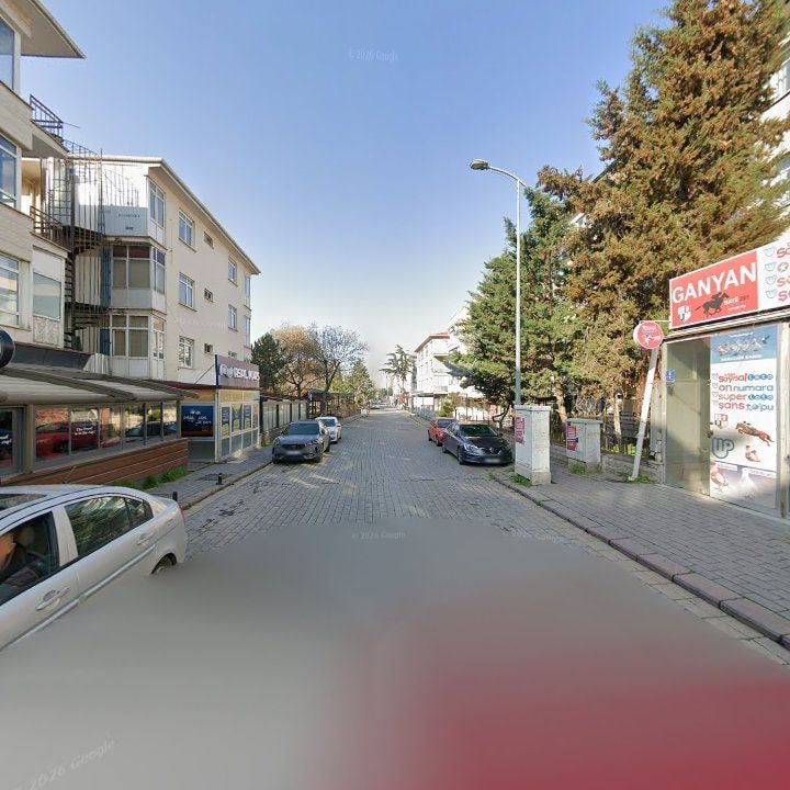 Fotoğraf 7