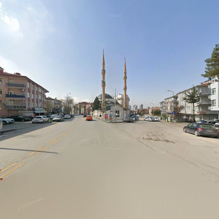 Fotoğraf 9