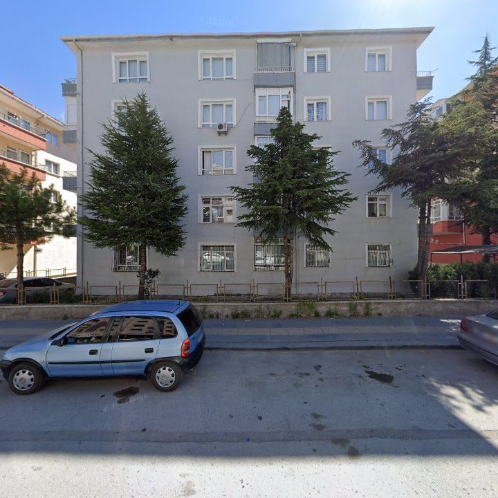 Fotoğraf 11