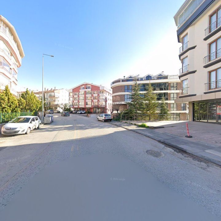 Fotoğraf 11