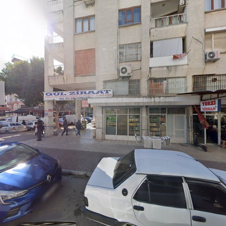 Fotoğraf 11
