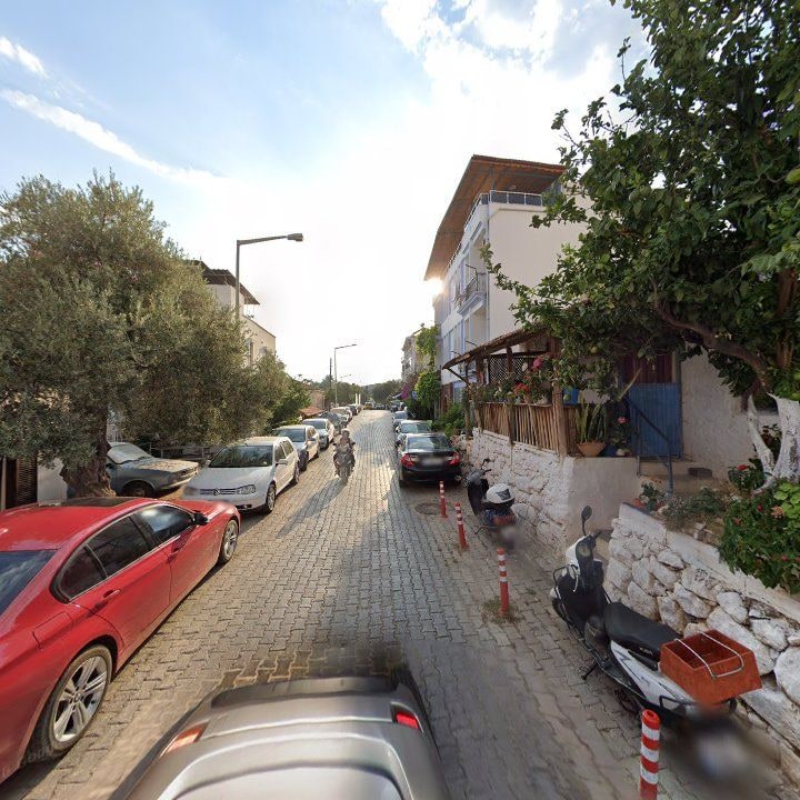 Fotoğraf 12