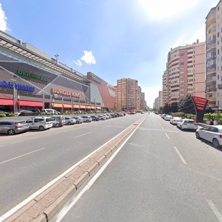 Fotoğraf 12