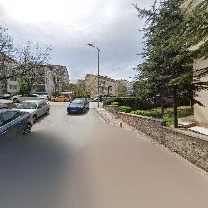 Fotoğraf 12
