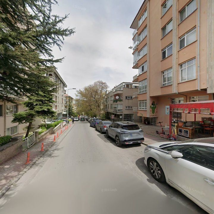 Fotoğraf 14