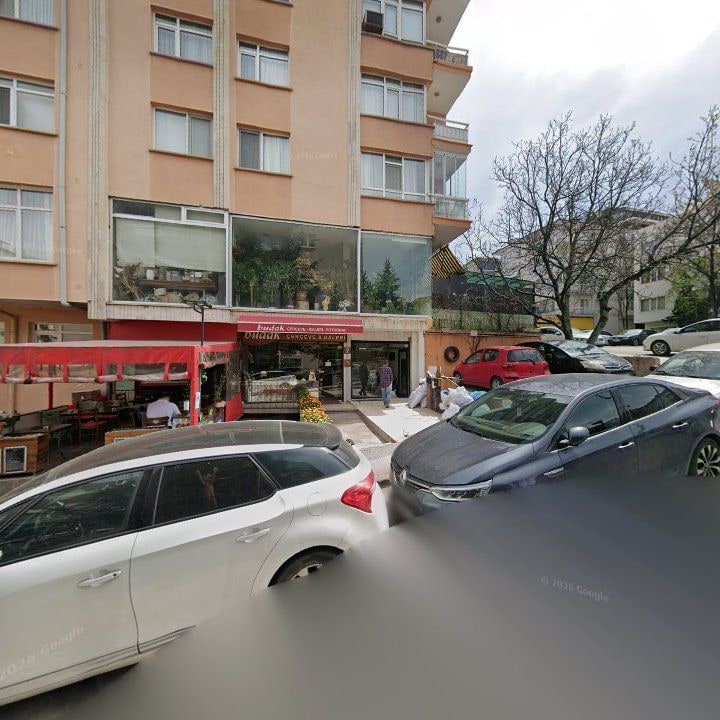 Fotoğraf 11