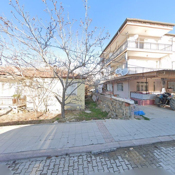 Fotoğraf 8