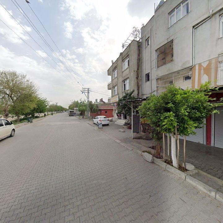 Fotoğraf 7