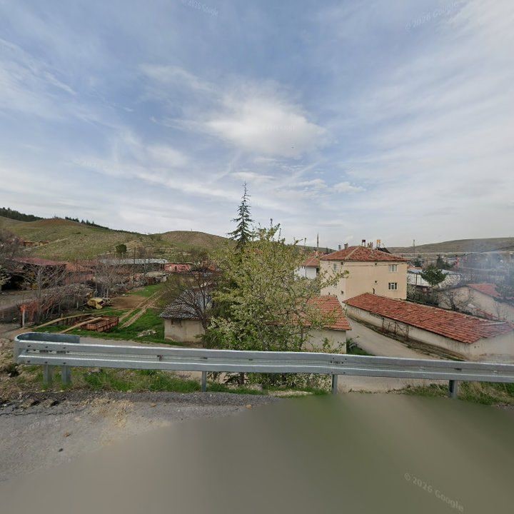 Fotoğraf 10
