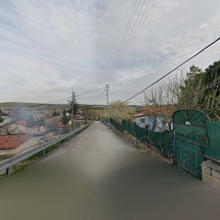 Fotoğraf 11