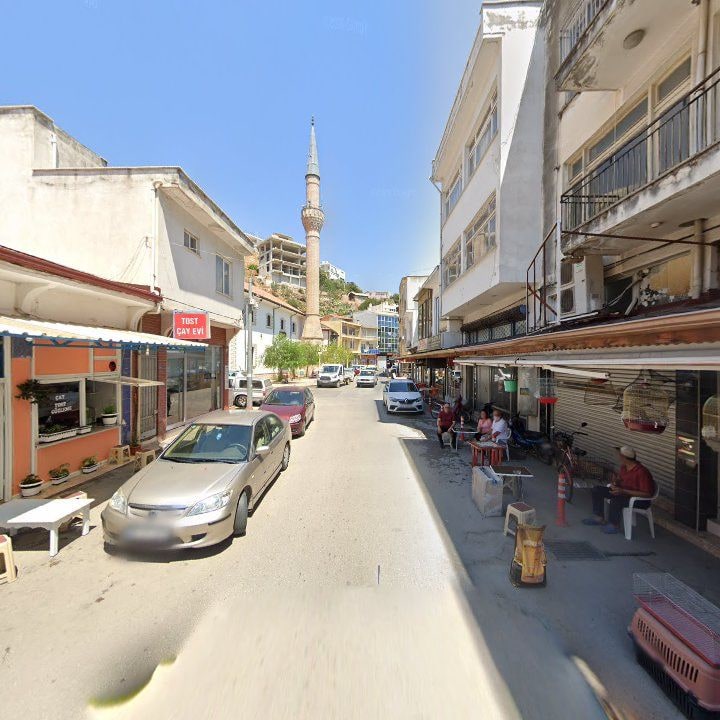 Fotoğraf 8