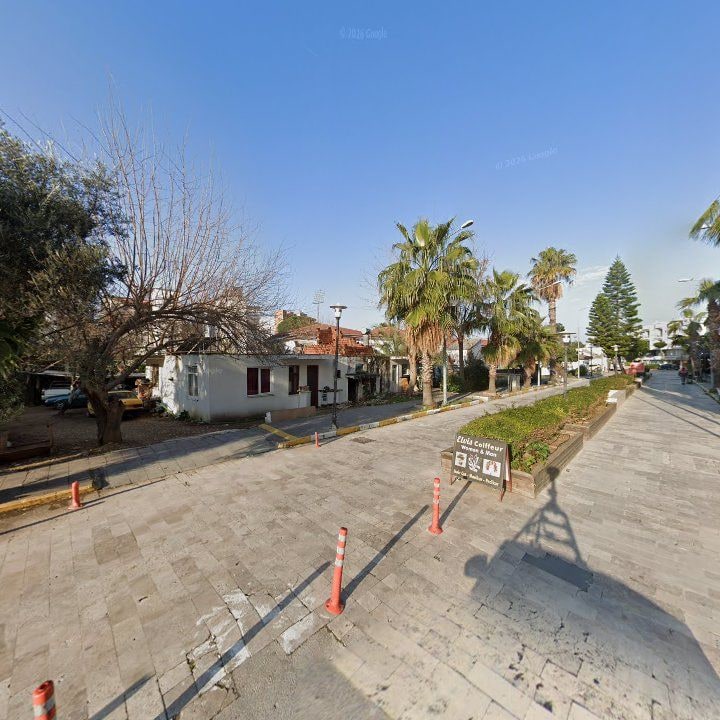 Fotoğraf 10