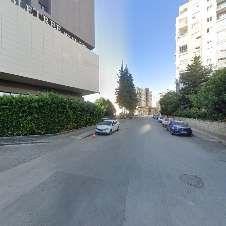 Fotoğraf 8