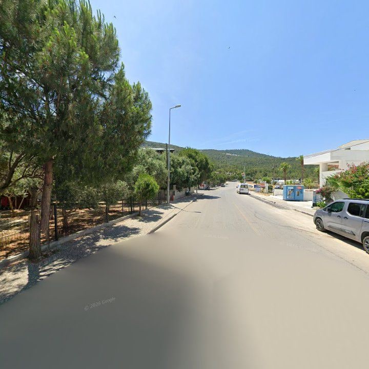 Fotoğraf 11