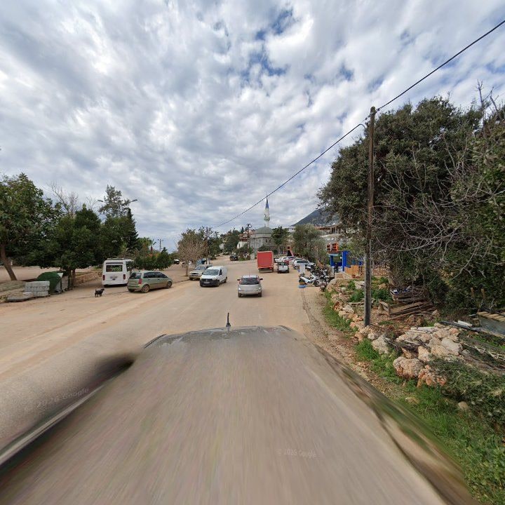 Fotoğraf 10