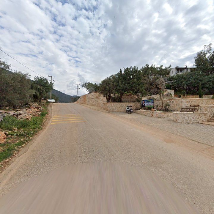Fotoğraf 8