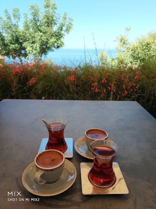 Fotoğraf 12