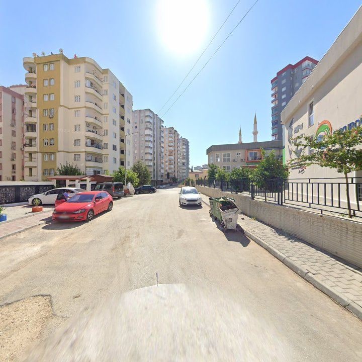 Fotoğraf 7