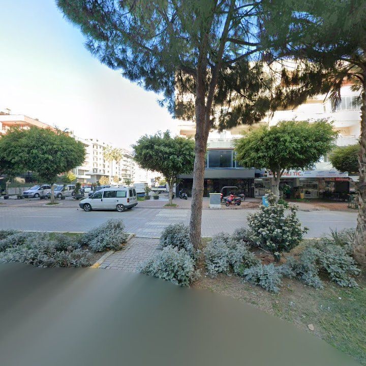 Fotoğraf 8