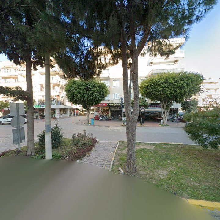 Fotoğraf 13