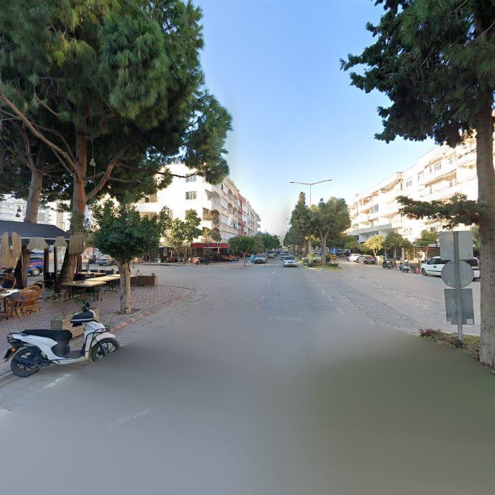 Fotoğraf 12