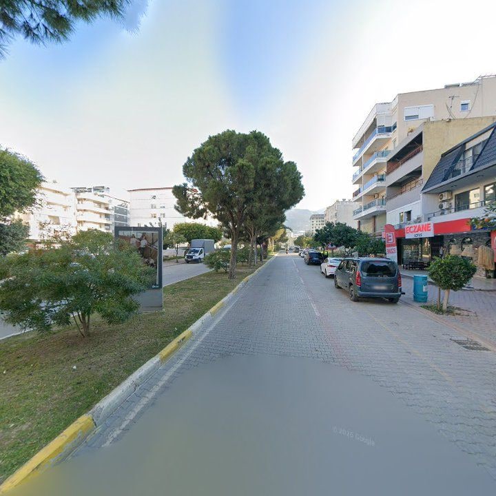 Fotoğraf 14