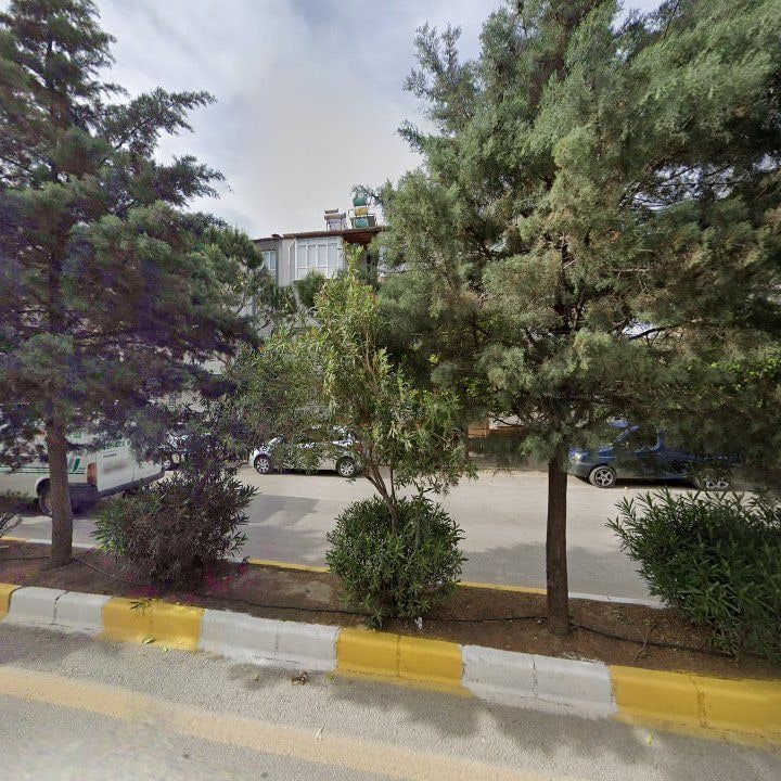 Fotoğraf 8