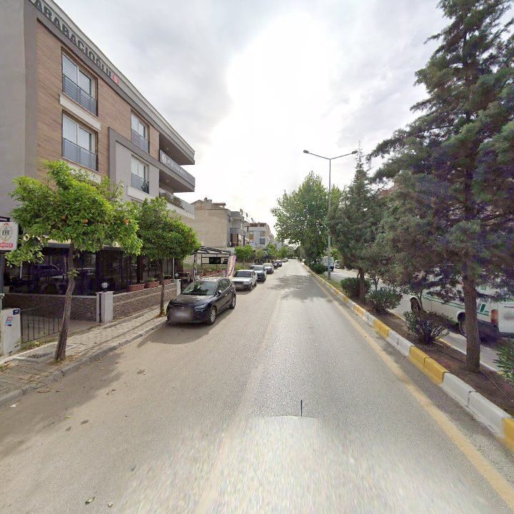 Fotoğraf 7