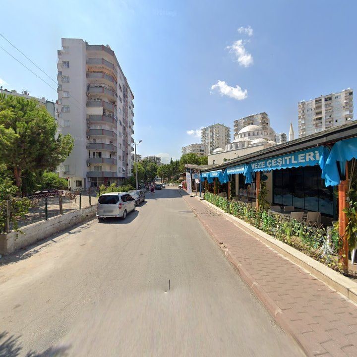 Fotoğraf 8