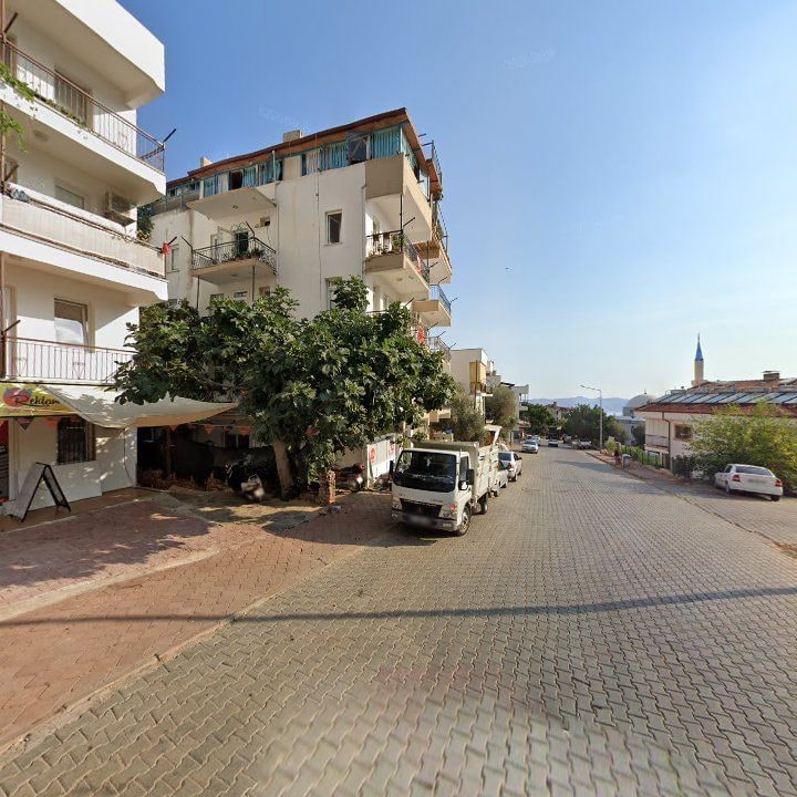 Fotoğraf 12