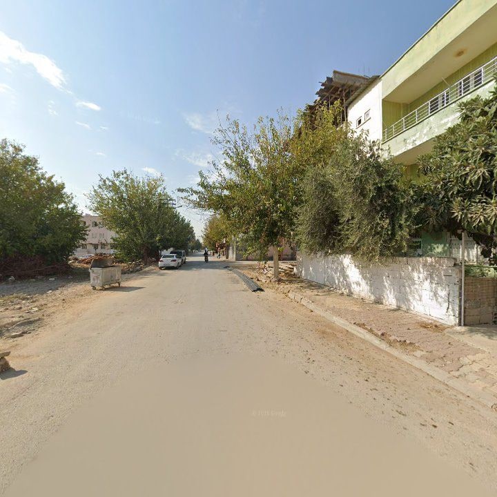 Fotoğraf 4