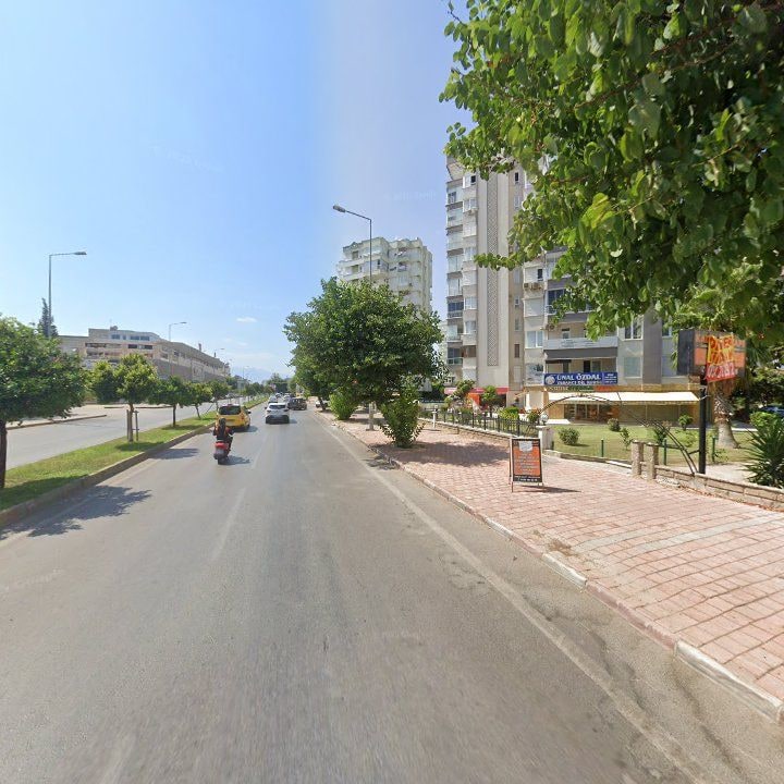 Fotoğraf 11