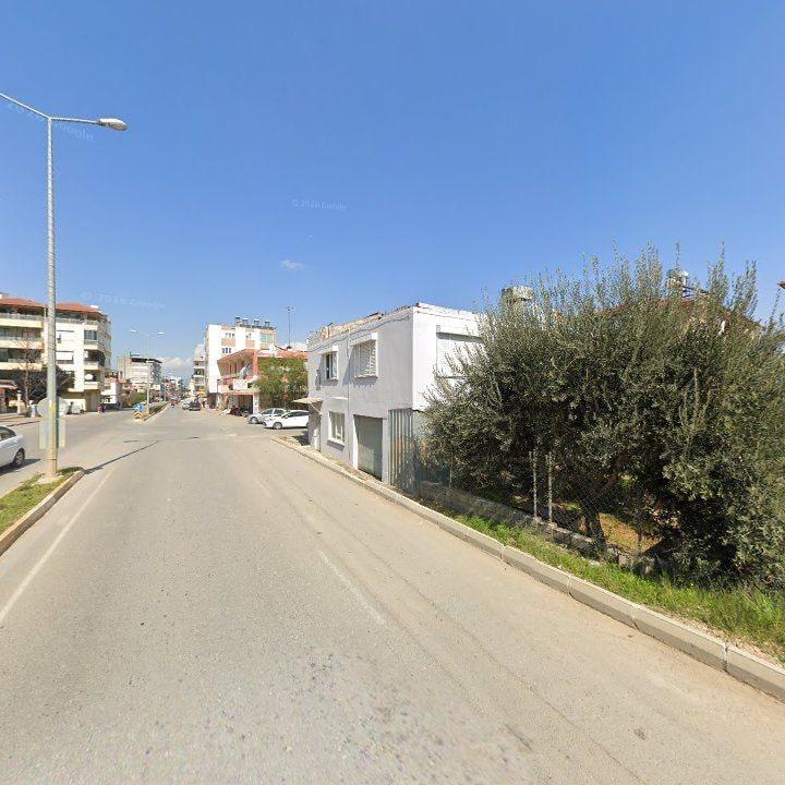 Fotoğraf 5