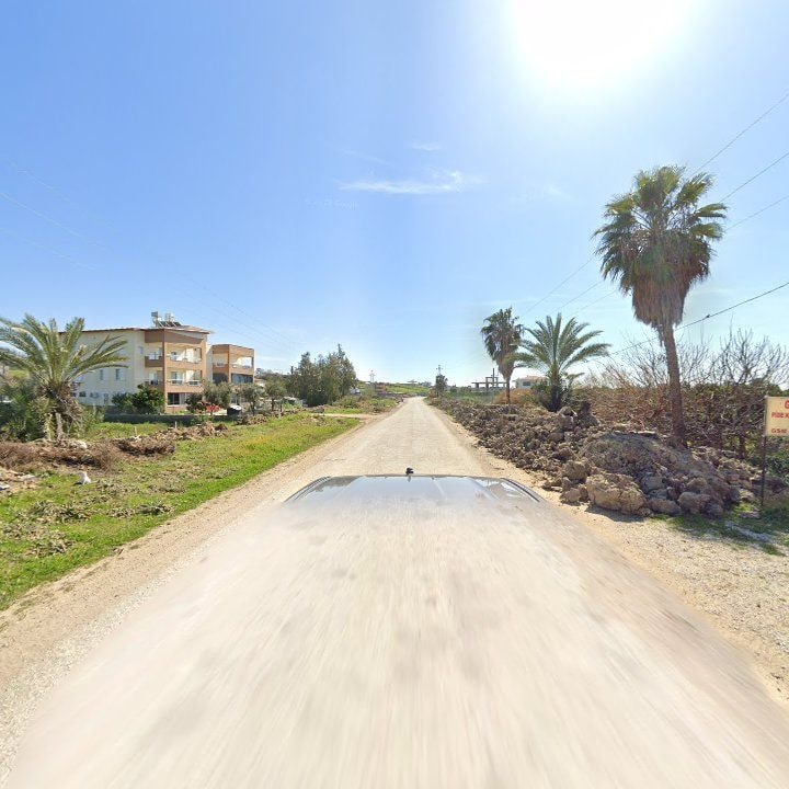 Fotoğraf 12