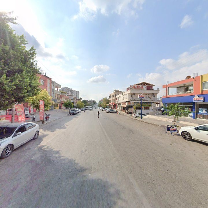 Fotoğraf 3