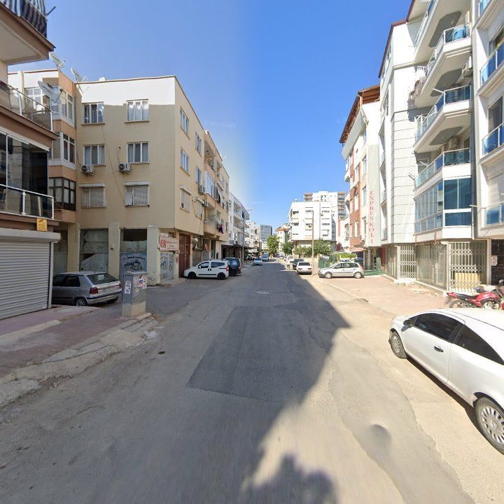 Fotoğraf 11