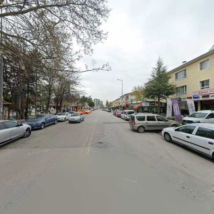 Fotoğraf 14