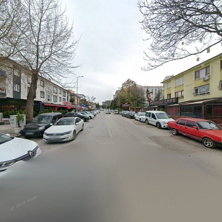 Fotoğraf 12