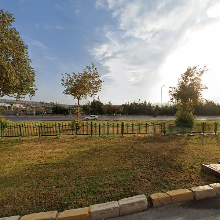 Fotoğraf 11