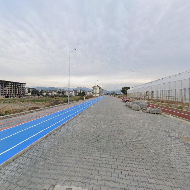 Fotoğraf 9