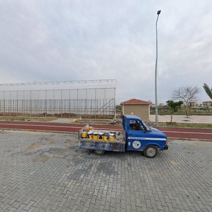 Fotoğraf 6