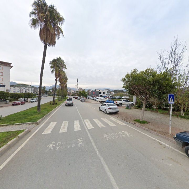 Fotoğraf 7