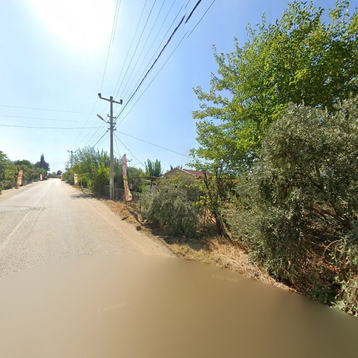 Fotoğraf 10