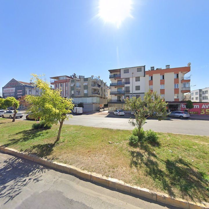 Fotoğraf 6