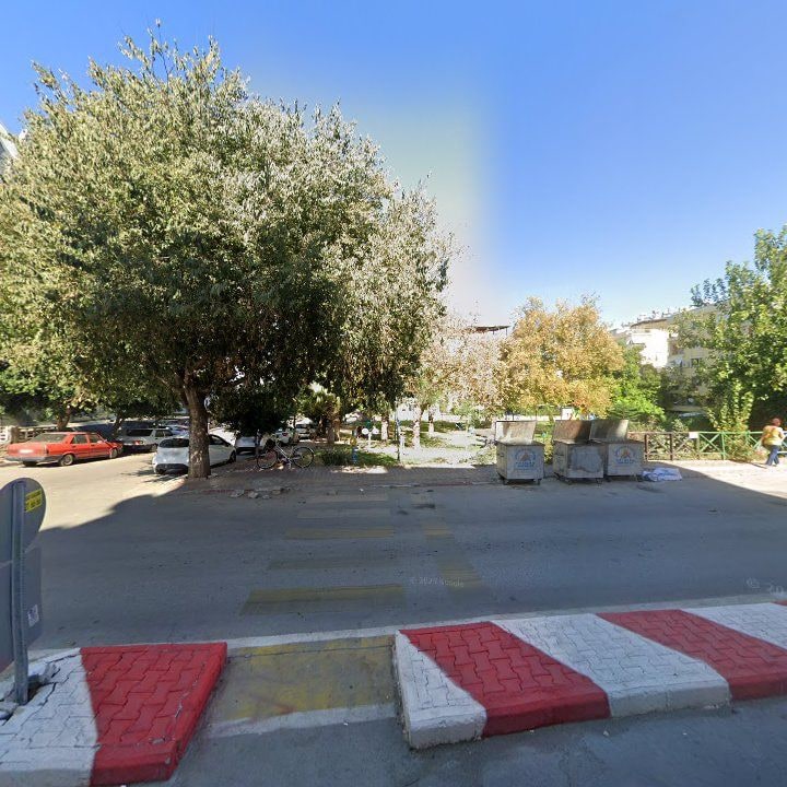 Fotoğraf 8
